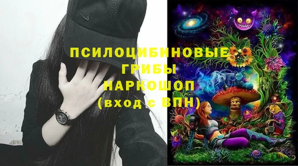 дживик Беломорск
