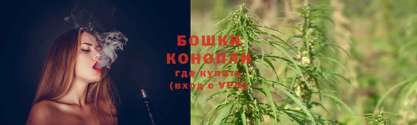 дживик Беломорск