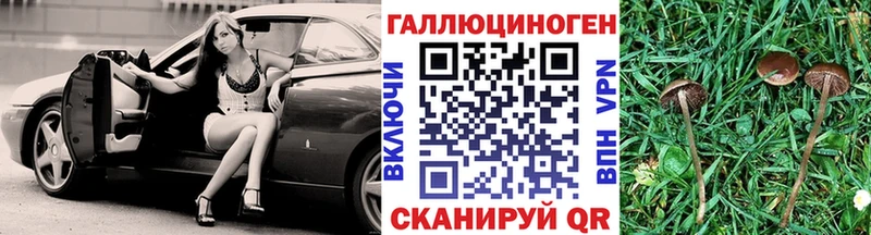 Галлюциногенные грибы прущие грибы  Ершов 