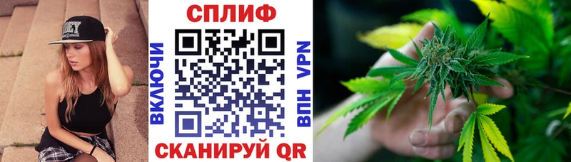 МЕГА ссылки  цены   darknet как зайти  Каннабис планчик  Ершов 